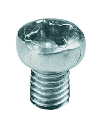 Винт с полуцилиндрической головкой М6х10 DKC CM090610 в Рубцовске Крепеж Pintop.ru