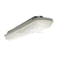 Светильник светодиодный пылевлагозащищенный ДСП-1008 Айсберг-Э 18Вт 6500К IP65 600мм EKF (TPL-1008-18-6500-A)