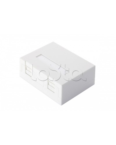 Настенная коробка 2-портовая со шторками, белый Eurolan (12B-04-02WT-2) в Рубцовске Розетки компьютерные и телефонные Pintop.ru