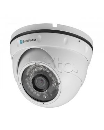 IP-камера видеонаблюдения купольная EverFocus ACE-IAV30 в Рубцовске IP-камеры Pintop.ru