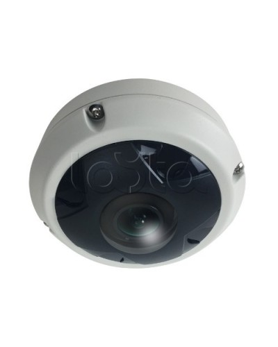 IP-камера видеонаблюдения купольная EverFocus ACE-KU89F в Рубцовске IP-камеры Pintop.ru