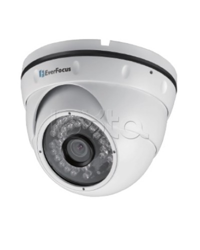 IP-камера видеонаблюдения уличная купольная EverFocus EBN-268 в Рубцовске IP-камеры Pintop.ru