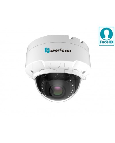 IP-камера видеонаблюдения купольная EverFocus EHN-2550 в Рубцовске IP-камеры Pintop.ru