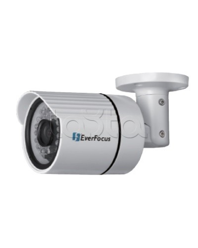 IP-камера видеонаблюдения уличная в стандартном исполнении EverFocus EZN-268 в Рубцовске IP-камеры Pintop.ru