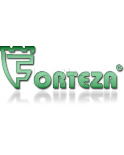 Плата сменная Forteza Плата БГр-4 в Рубцовске Устройства защиты операционных процессоров (ОПС) Pintop.ru