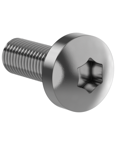 Винт М6х16 IEK (FO-00D-VTORX-M6X16-020) в Рубцовске Аксессуары для стоек и шкафов Pintop.ru