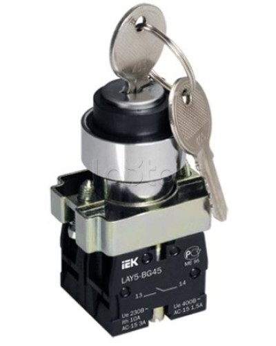 Переключатель LAY5-BG45 на 2 положения с ключом без фиксации IEK BSW80-BG-2-K02 в Рубцовске Аксессуары для стоек и шкафов Pintop.ru
