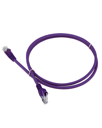 Патч-корд LANMASTER LSZH UTP кат.5e, 0.3 м, фиолетовый LANMASTER LAN-PC45/U5E-0.3-VI в Рубцовске Патчкорды (медные) Pintop.ru