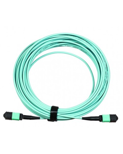 Сборка кабельная LANMASTER (LAN-12M-12M/OM3B-5.0) в Рубцовске Коннекторы Pintop.ru