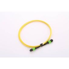 Сборка кабельная LANMASTER (LAN-12M-12M/OS2B-20)