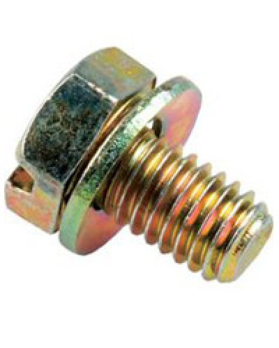 Винт с шайбой М6х10мм TH Legrand 036775 в Рубцовске Крепеж Pintop.ru