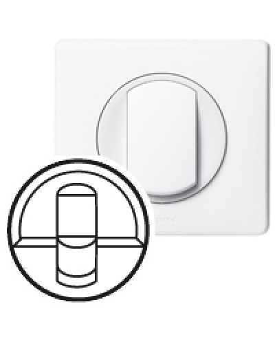 Клавиша для выключателя Celiane Legrand 068251 в Рубцовске Аксессуары для кабель-канала Pintop.ru