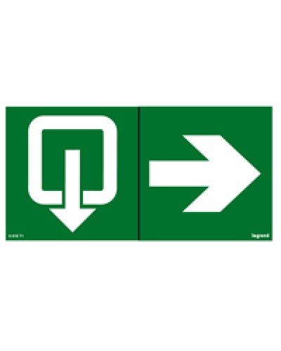 Пиктограмма 100х200 эвакуация стрелка Legrand 661671 в Рубцовске Дополнительное оборудование для ОПС Pintop.ru