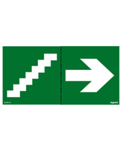 Пиктограмма 100х200 лестница стрелка Legrand 661672 в Рубцовске Дополнительное оборудование для ОПС Pintop.ru