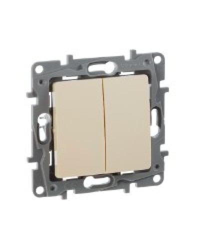 Переключатель двухклавишный 10AX Plus Legrand 672312 в Рубцовске Аксессуары для кабель-канала Pintop.ru