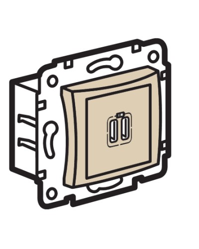 Устройство зарядное с коннекторами USB Legrand (774170) в Рубцовске Аксессуары для кабель-канала Pintop.ru