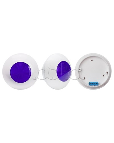 Оповещатель световой SLT Марс 12-24-СП (син) в Рубцовске Оповещатели Pintop.ru