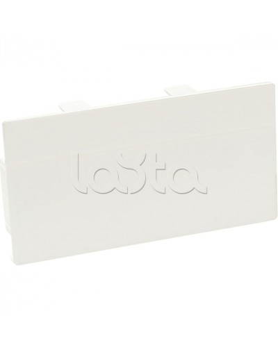 Заглушка торцевая для кабельного канала 100х50 SPL 100002S в Рубцовске Аксессуары для кабель-канала Pintop.ru