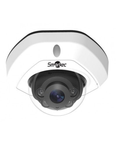 IP-видеокамера Smartec STC-IPM3407A/4 rev.3 Estima в Рубцовске IP-камеры Pintop.ru