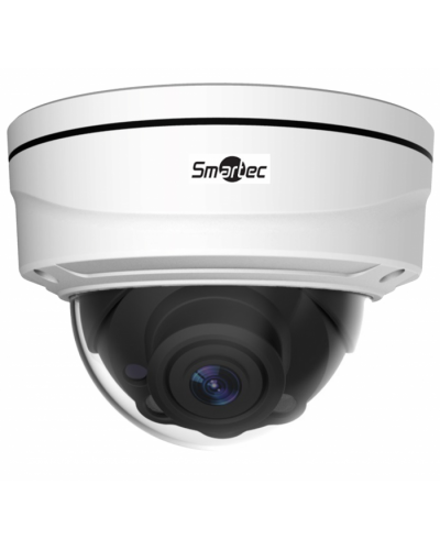 IP-видеокамера Smartec STC-IPM3509A/1 rev.3 Estima в Рубцовске IP-камеры Pintop.ru