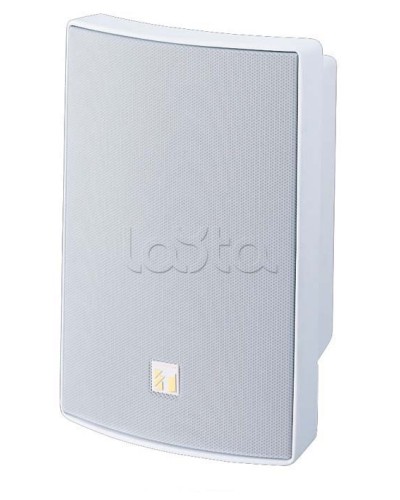 Громкоговоритель универсальный двухполосный TOA BS-1030W в Рубцовске Системы оповещения и трансляции TOA Pintop.ru