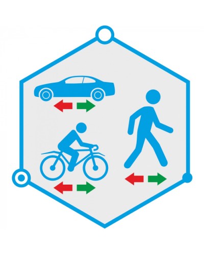 ПО детектор движения в запрещенном направлении TRASSIR Direction Detector в Рубцовске Системы видеонаблюдения Pintop.ru