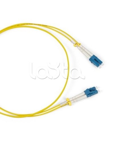 Патч-корд оптический TWT-2FC-2LC/SAU-20 в Рубцовске Патч-корды оптические Pintop.ru