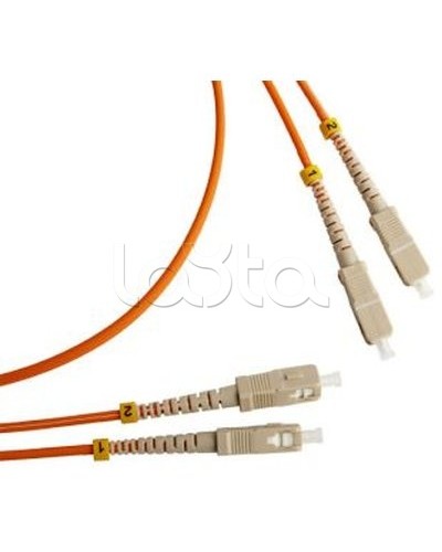 Патч-корд оптический TWT-2SC-2ST/SAU-5.0 в Рубцовске Патч-корды оптические Pintop.ru