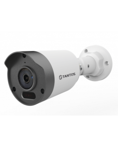 IP-видеокамера в стандартном исполнении уличная Tantos TSi-Peco45FP в Рубцовске IP-камеры Pintop.ru
