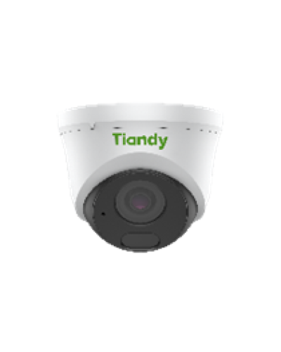 Уличная купольная IP-камера Tiandy TC-C34HS Spec:I3/E/Y/C/SD/2.8mm/V4.2 в Рубцовске IP-камеры Pintop.ru