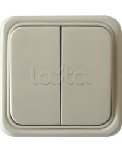 Выключатель двухклавишный открытой установки Экопласт, схема 5, (бежевый) в Рубцовске Розетки компьютерные и телефонные Pintop.ru