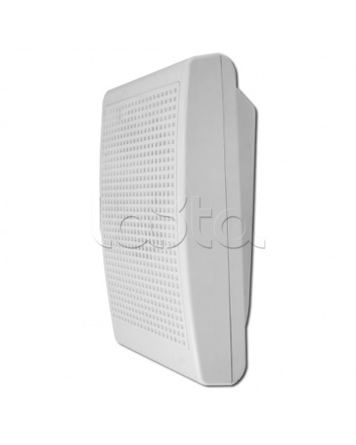 Модуль акустический С-Т-100 3/5 (ИП Раченков А.В.) в Рубцовске Оповещатели Pintop.ru