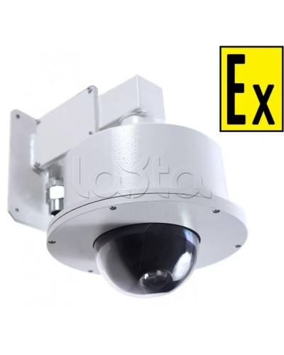 Видеокамера взрывозащищенная Компания СМД Орион МК PTZ- Н-220В в Рубцовске Взрывозащищенные камеры Pintop.ru