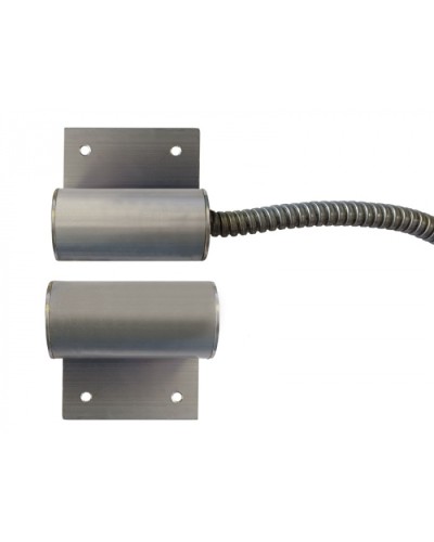 Извещатель охранный точечный магнитоконтактный Магнито-Контакт ИО 102-100 Магнито-Контакт исп.50 П в Рубцовске Извещатели охранные Pintop.ru