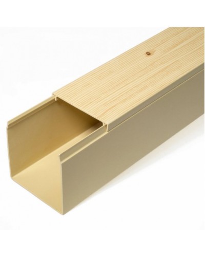 Кабель-канал сосна 2-й замок в п/э 60х60 (12 м/уп) Промрукав (PR03.0188) в Рубцовске Кабель-канал Pintop.ru