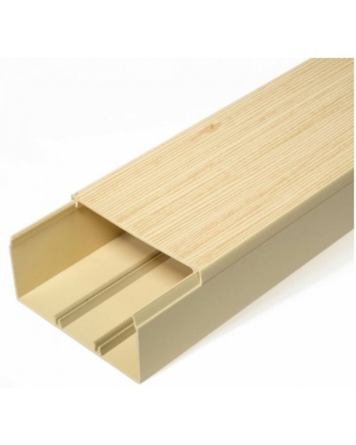 Кабель-канал сосна 2-й замок в п/э 100х60 (8 м/уп) Промрукав (PR03.0192) в Рубцовске Кабель-канал Pintop.ru