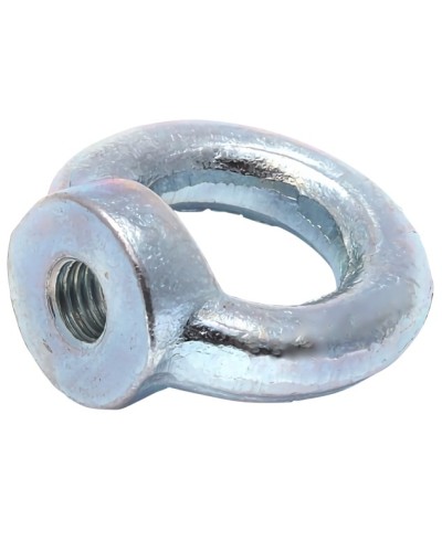 Рым-гайка М6 DIN 582 (50 шт/уп) Промрукав (PR08.3903) в Рубцовске Крепеж Pintop.ru