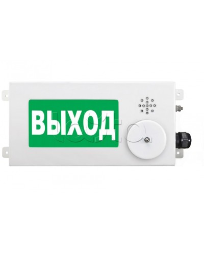 Табло световое взрывозащищенное Спектрон ТСВ-Exm-М-Прометей-МИНИ 220В в Рубцовске Оповещатели Ex Pintop.ru