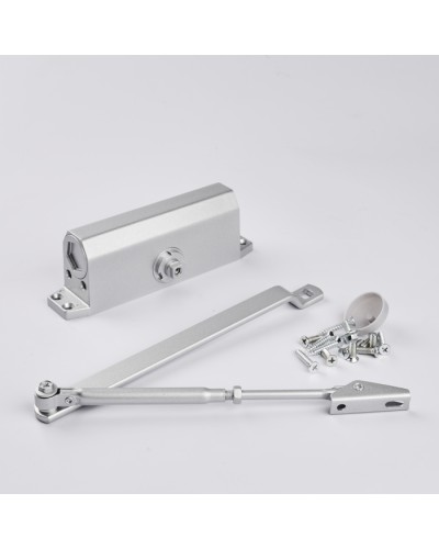 Доводчик R-Lock RL-DCM-EN4-00S в Рубцовске Доводчики Pintop.ru