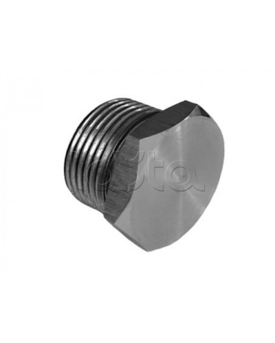 Металлическая резьбовая заглушка взрывозащищённая Магнито-контакт Ех-заглушка ВЗ 1 М Н (под Ø 20) 1Ex d IIС Gb/PB Ex d I Mb или Ex tb IIIС Db или 0Ex ia IIC Ga или 1Ex e IIС Gb в Рубцовске Дополнительное оборудование (Ex) Pintop.ru