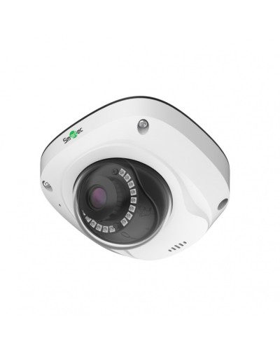 IP-видеокамера Smartec STC-IPM5507A/1 в Рубцовске IP-камеры Pintop.ru