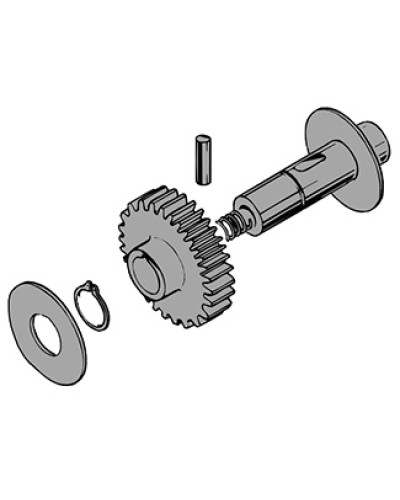 Вал в сборе C100 Came 119RIC011 в Рубцовске Запчасти для шлагбаумов и автоматики Pintop.ru