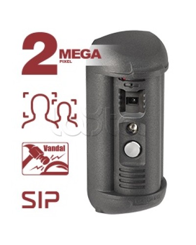 Панель вызывная Beward DSN85017P-FC1 в Рубцовске Вызывные IP панели Pintop.ru