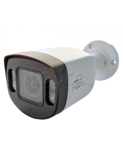 IP-камера видеонаблюдения в стандартном исполнении Fox FX-IPC-C40AP-IR H.265 AI в Рубцовске IP-камеры Pintop.ru