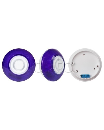 Оповещатель комбинированный SLT Марс 12-КП (строб, син) в Рубцовске Оповещатели Pintop.ru