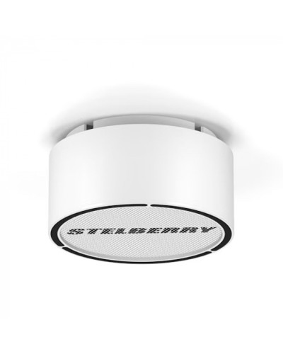 Громкоговоритель STELBERRY F-306W в Рубцовске Акустические системы Pintop.ru