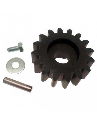 Шестерня ведущая BZ Came 119RIBZ005 в Рубцовске Запчасти для шлагбаумов и автоматики Pintop.ru