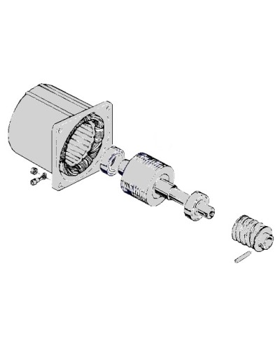 Электродвигатель С-100 Came 119RIC052 в Рубцовске Запчасти для шлагбаумов и автоматики Pintop.ru
