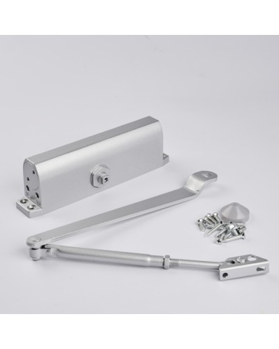 Доводчик R-Lock RL-DCM-EN5-00S в Рубцовске Доводчики Pintop.ru